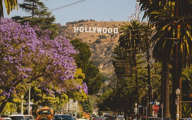 Hollywood's Great Tax Credit Gamble: Can Washington Bring Movie Production Home?